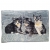 Koc akrylowy - Gruby i ciepły - 3 Koty wzór